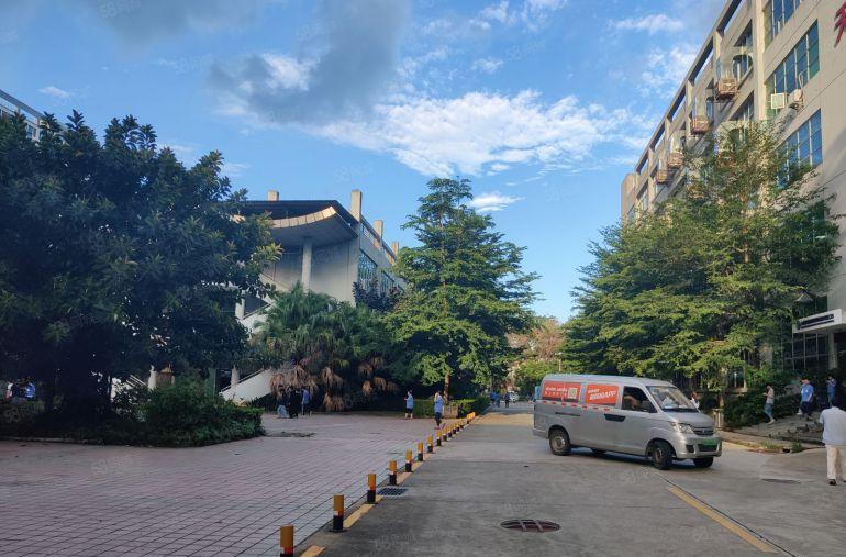 惠阳秋长白石新建标准厂房3000平出租带消防喷淋牛角层高7米