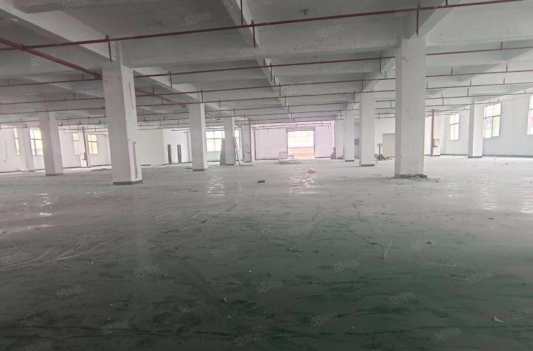 惠阳区秋长原房东标准加钢构独院厂房招租