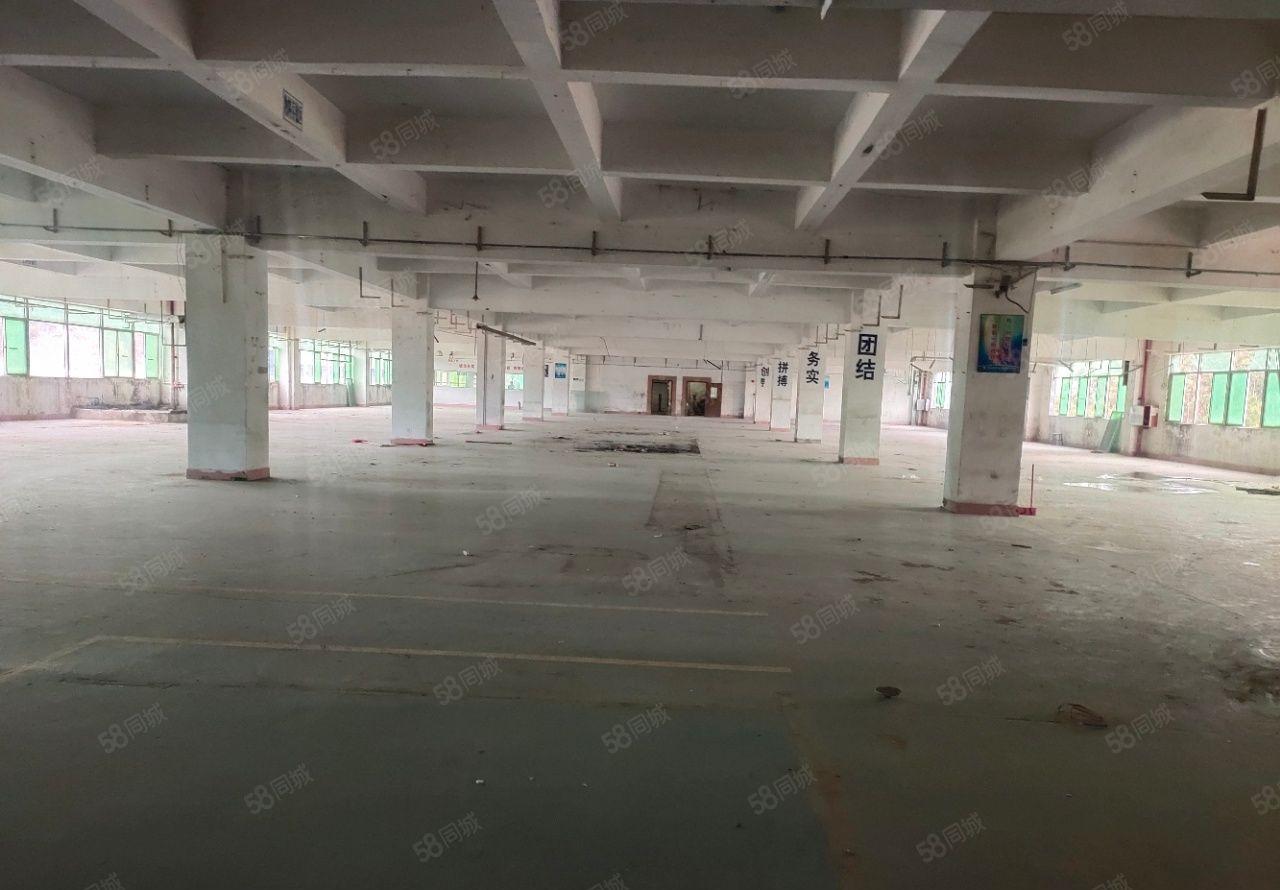 惠阳新圩镇原房东独院标准厂房，占地面积76亩500000平方