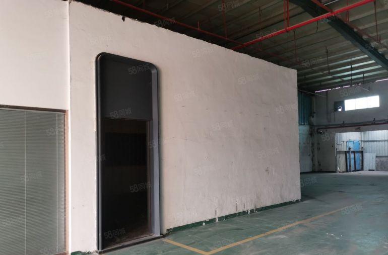 16元起租！新圩长布1600平一层钢构厂房可分租