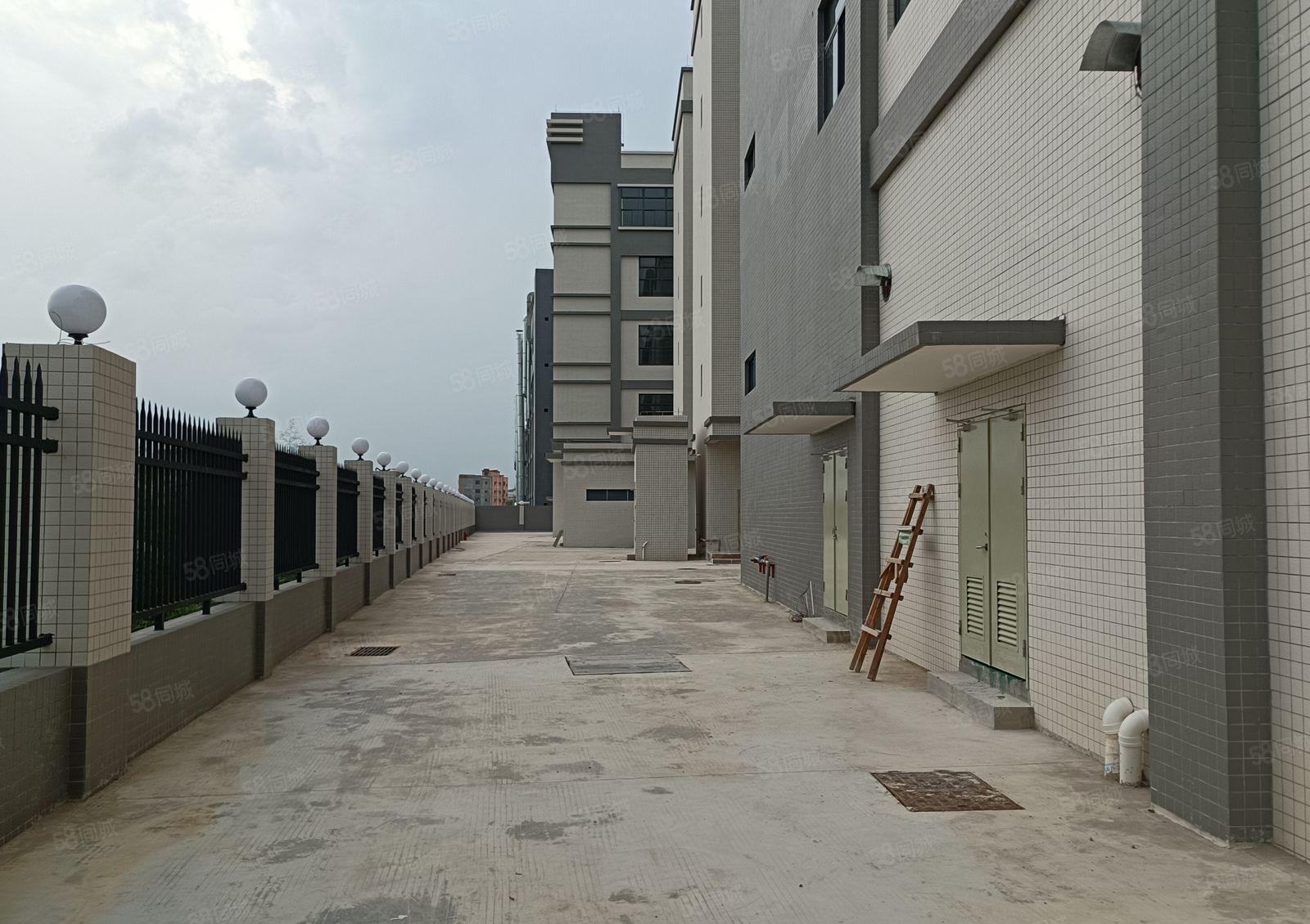 （500起分租）惠阳镇隆205国道边新出红本独院40000平