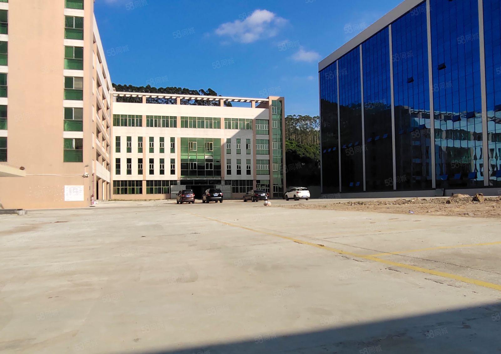 惠州镇隆原房东红本厂房仓库出租5000平方1000平方起分租