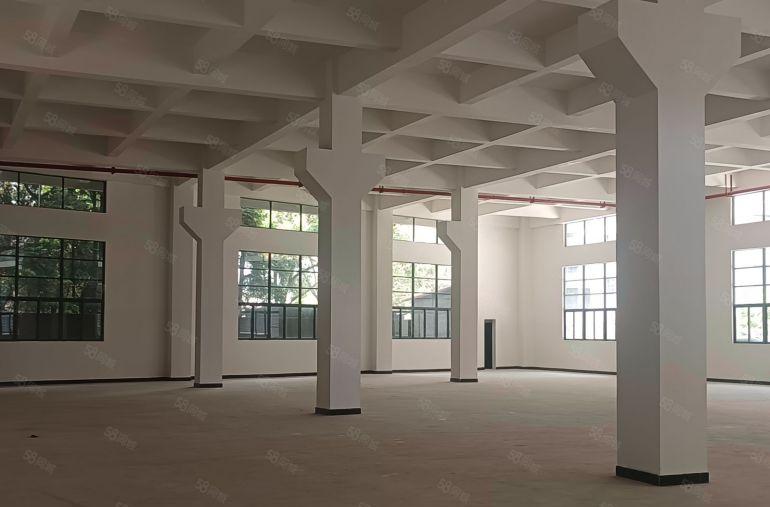 惠阳新圩长布主干道边新出原房东红本独院标准厂房4700平招租