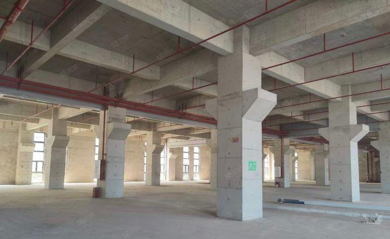 临深全新装修 楼上6米高 1T重 开发商直租 无二手差价