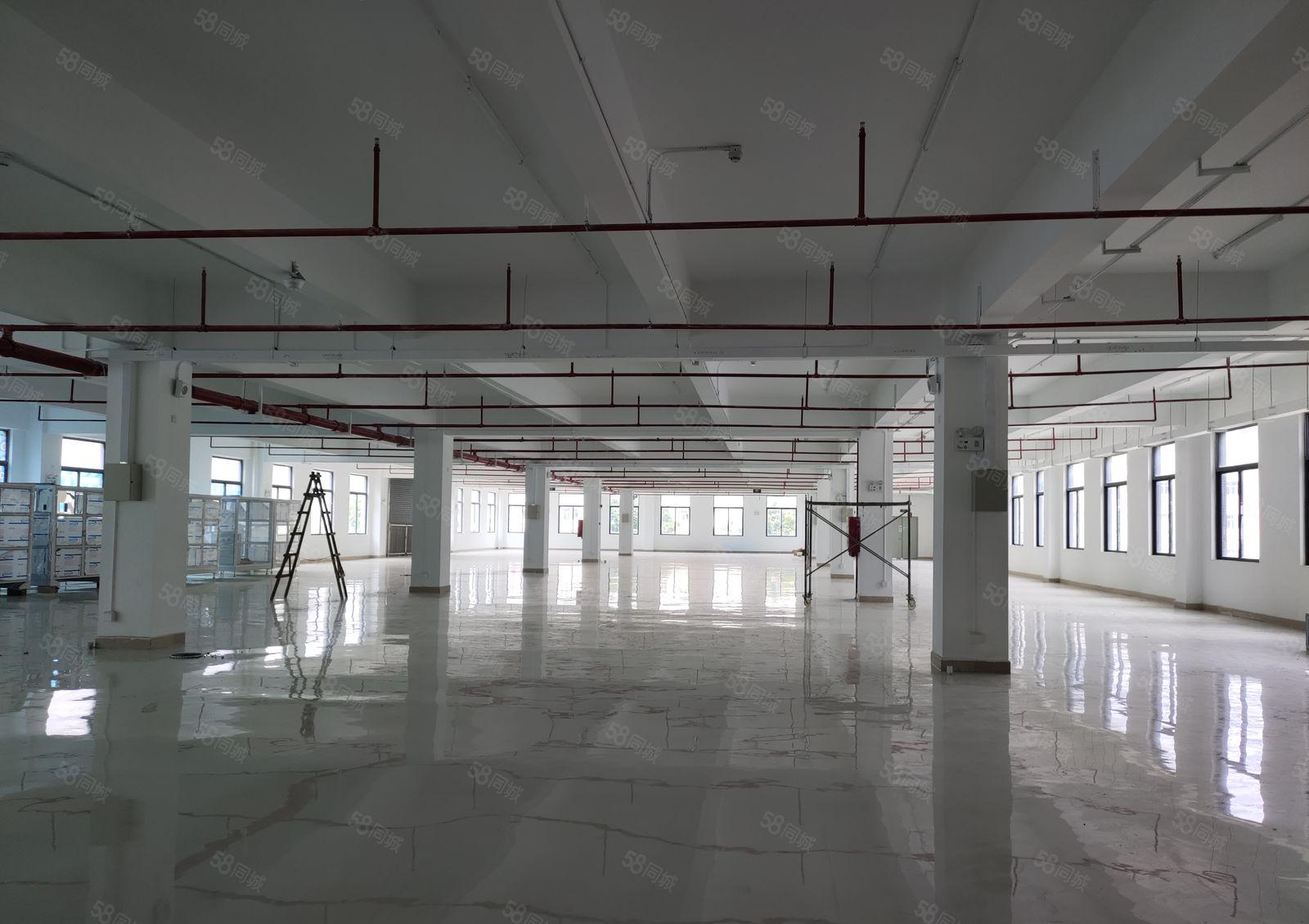 500平方起分租！新圩新联新出楼上2000平方带办公室，采