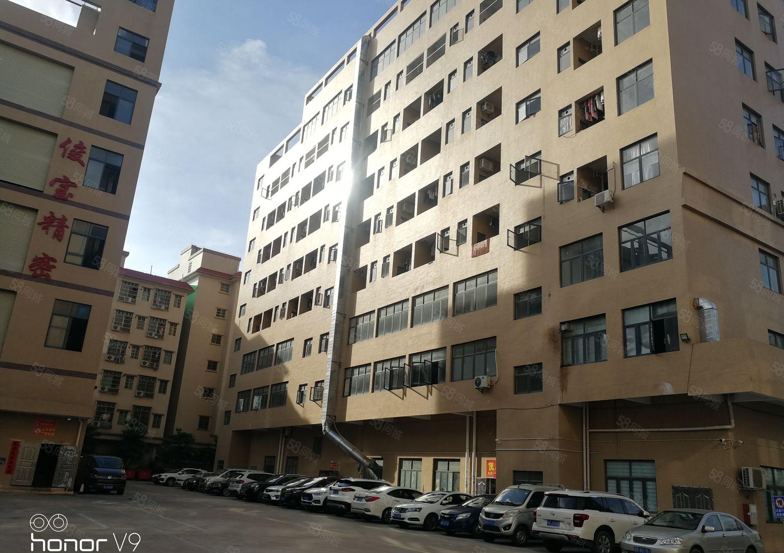 （24小时不限电）镇隆镇甘陂村全新标准厂房16800平方