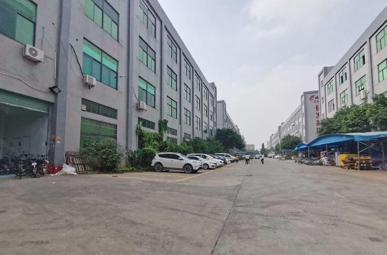 惠阳新圩一楼800平标准厂房出租原房东便宜主线到车间拎包入驻