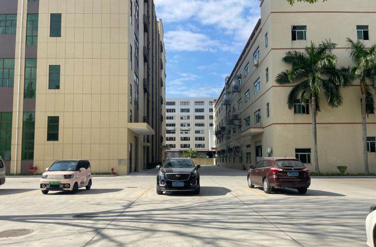 10元零公摊！惠阳沙田5600平原房东厂房仓库低价出租可分租