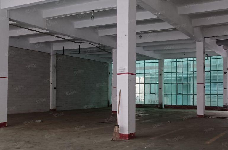 惠阳镇隆205国道边红本标准厂房一楼750平方米出租