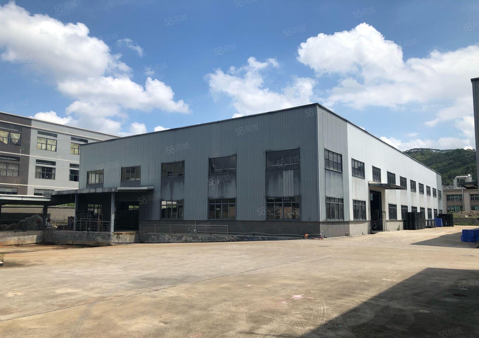 镇隆新出独门独院8000平米钢构厂房，滴水10米。