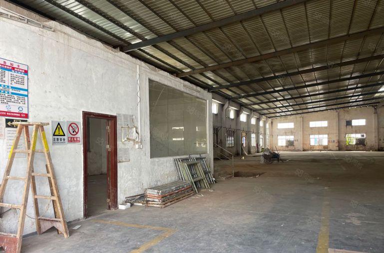 镇隆原房东单一层钢构1000平实际面积低价出租 好进大车