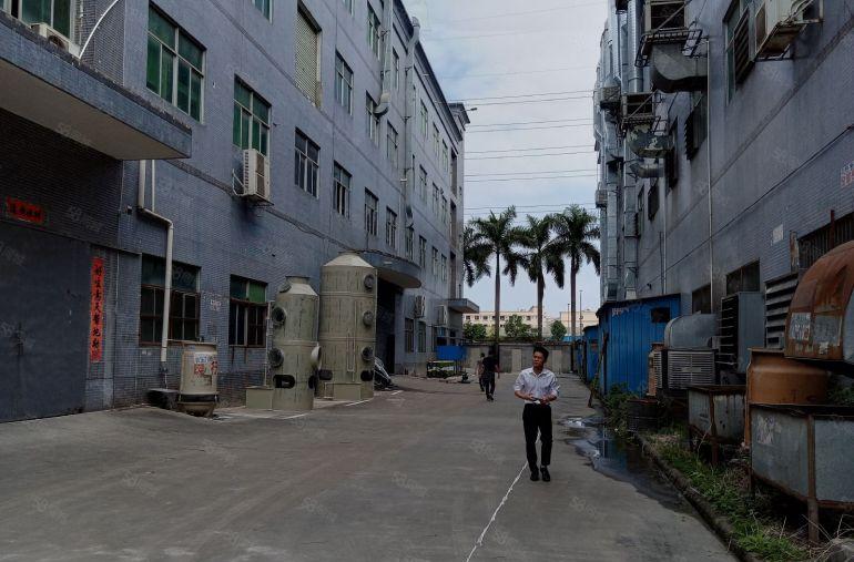 惠州秋长现成喷漆厂房招租特价9.9平起