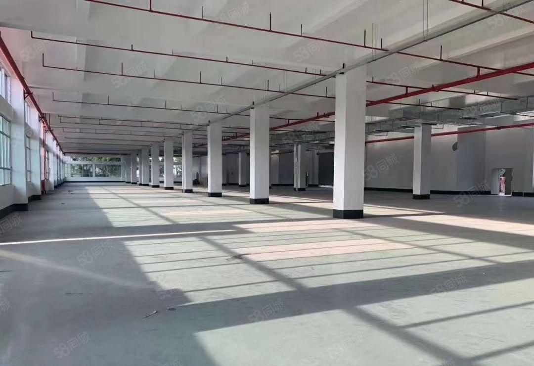 惠阳秋长新出原房东独门独院厂房13层5000平米出租