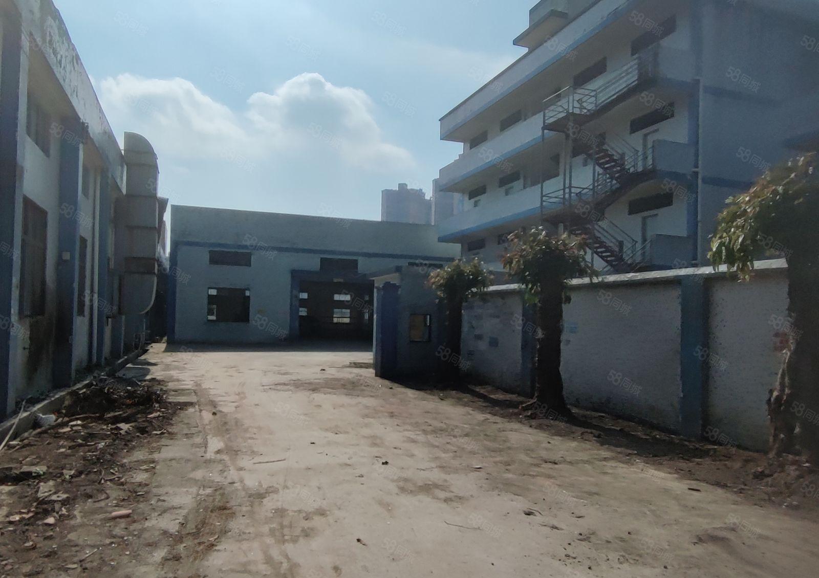 秋宝路工业区独院钢构2000平方厂房出租周边无居民可办环评