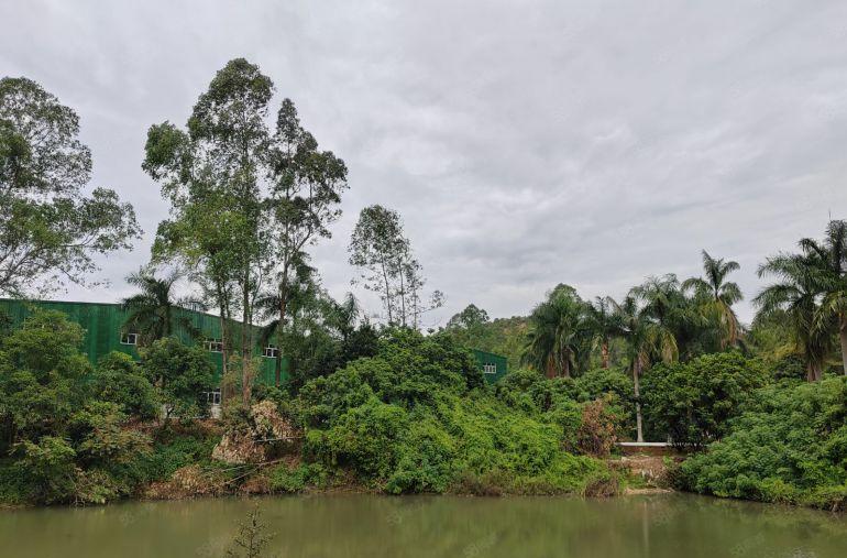 8元8元8元秋长白石洞厂房适合污染行业实际面积低价出租