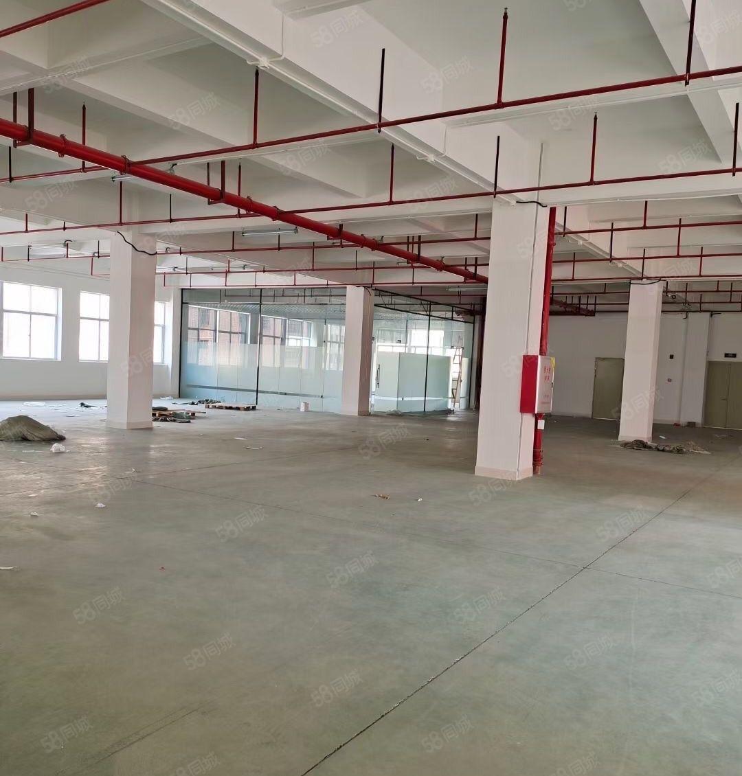 新圩长布楼上厂房仓库500平1000平出租