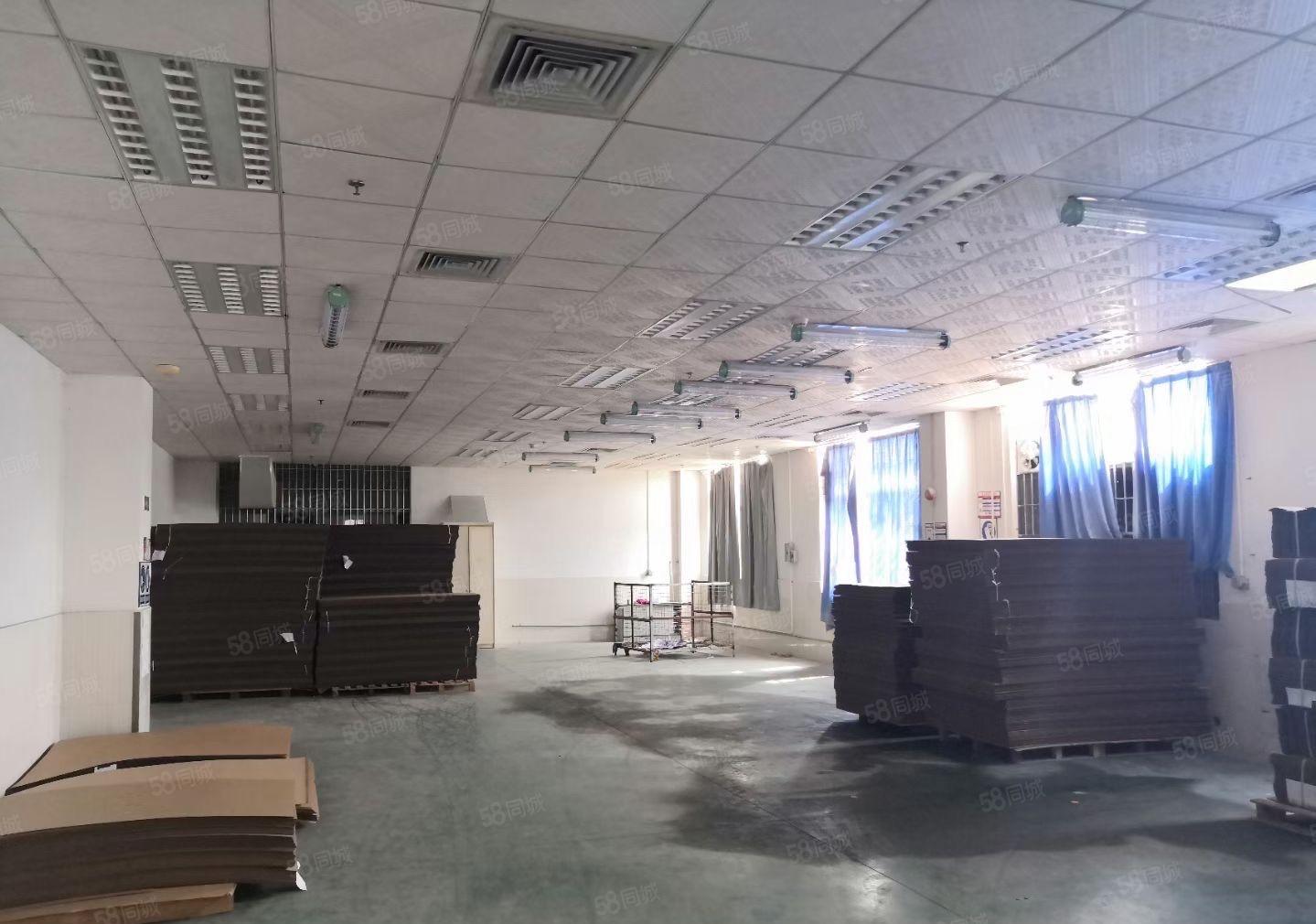 秋长白石工业园一楼700平方厂房出租价格低证件齐