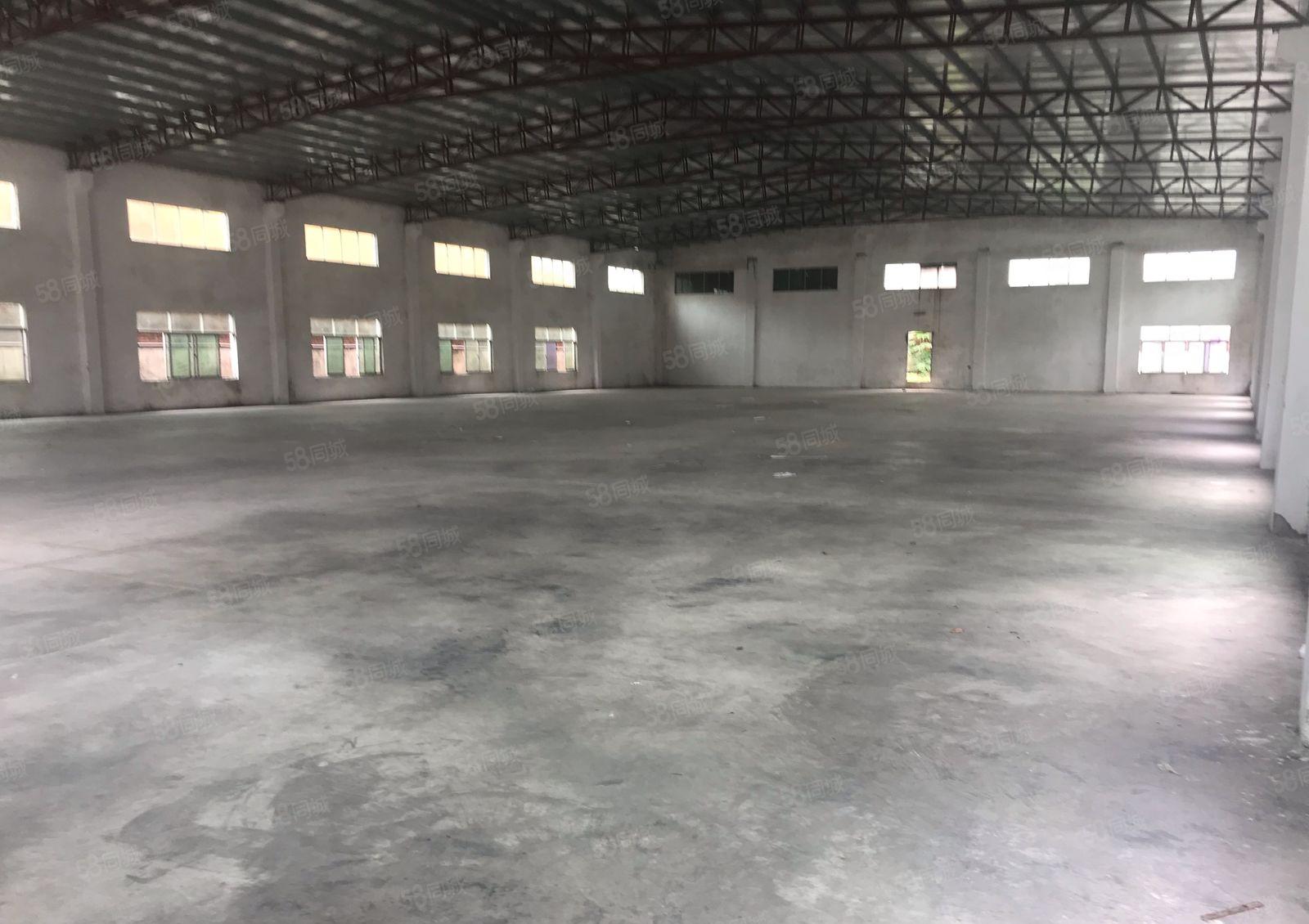 新圩塘吓工业区原房东钢构800平1000平出租