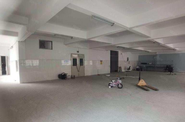 380平独门独院钢构厂房，不限行业，污染行业亦可