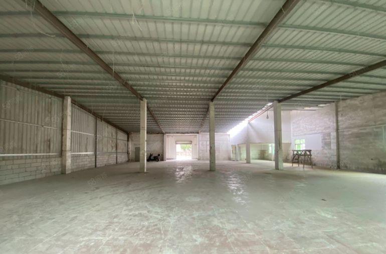 惠阳新圩650平原房东钢构厂房出租15元平月