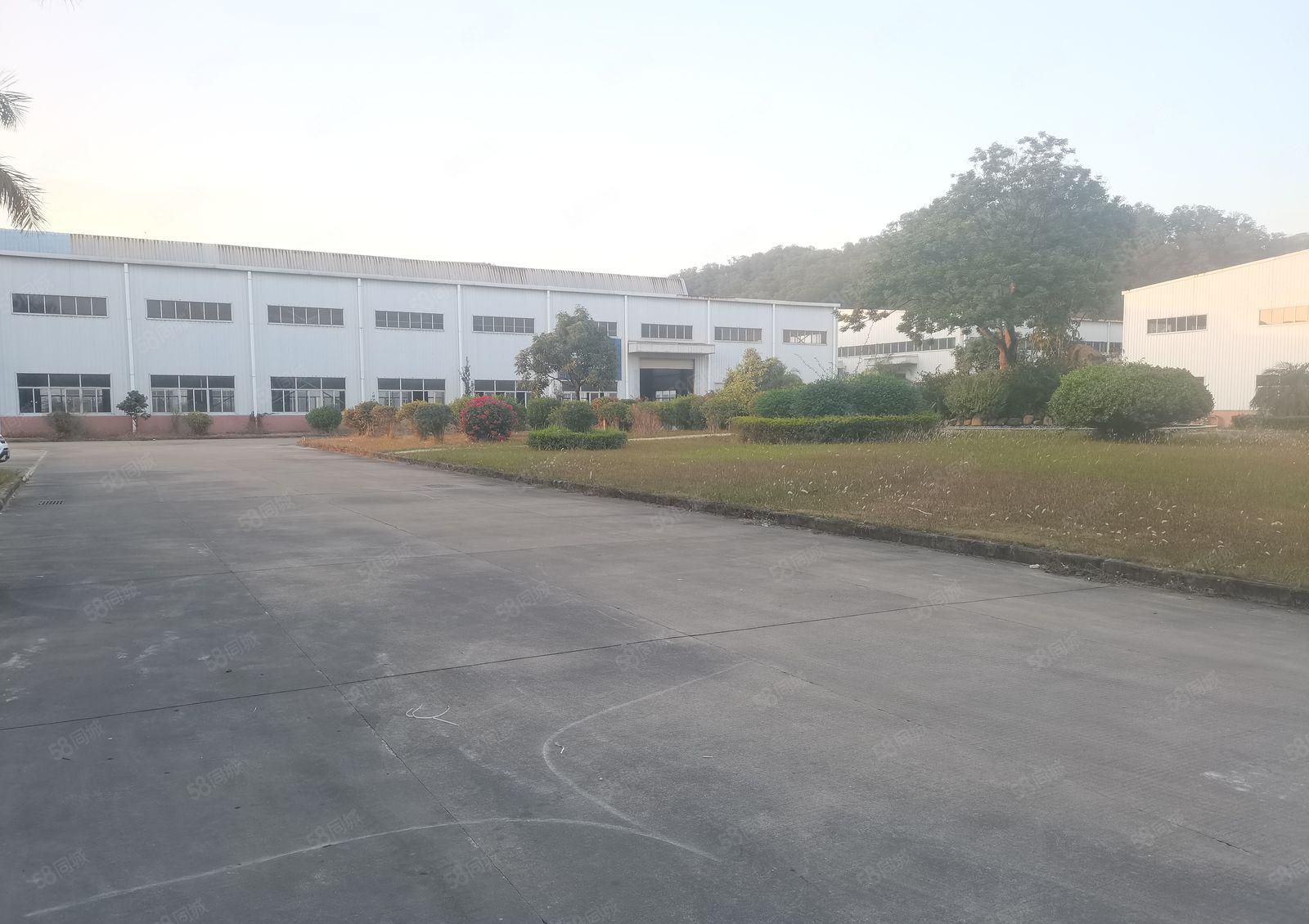 惠州惠阳新圩长布工业区独院钢构10000平米带行车厂房出租急