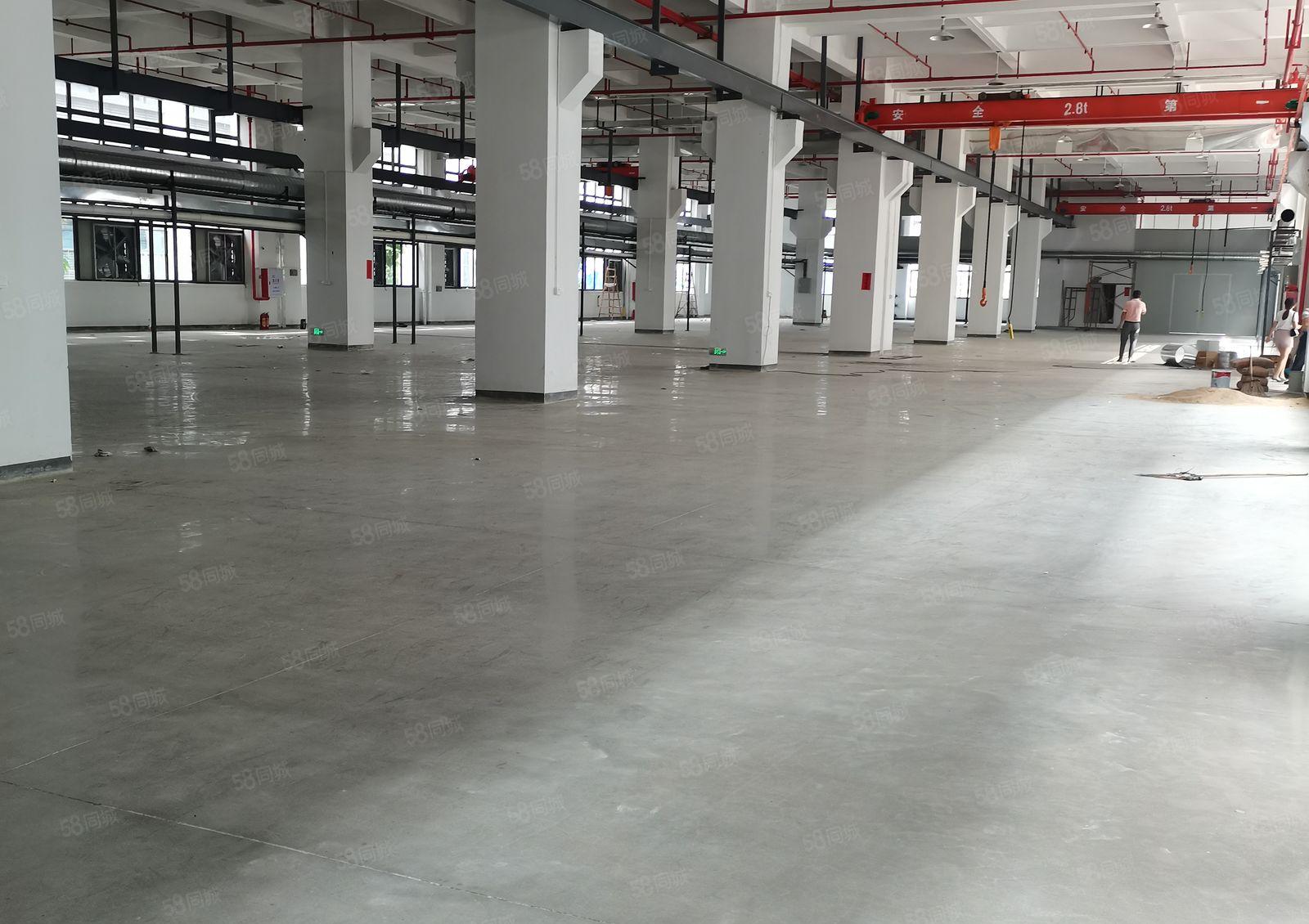 秋长大工业区一楼厂房800平米出租  原房东直接出租可分租急