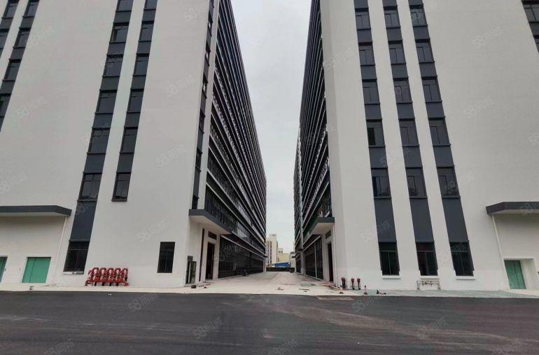 免租期6个月6个月，10元惠阳秋长茶园全新红本厂房仓库8万平