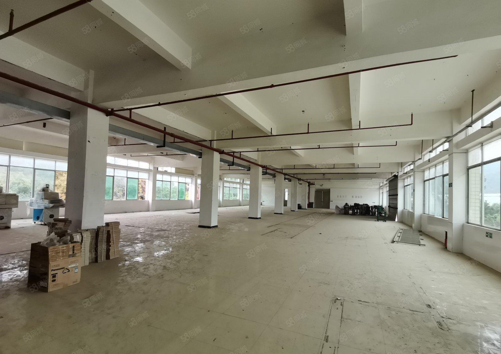 惠阳三和零公摊厂房2400平方可分租，可办环评  独门独院