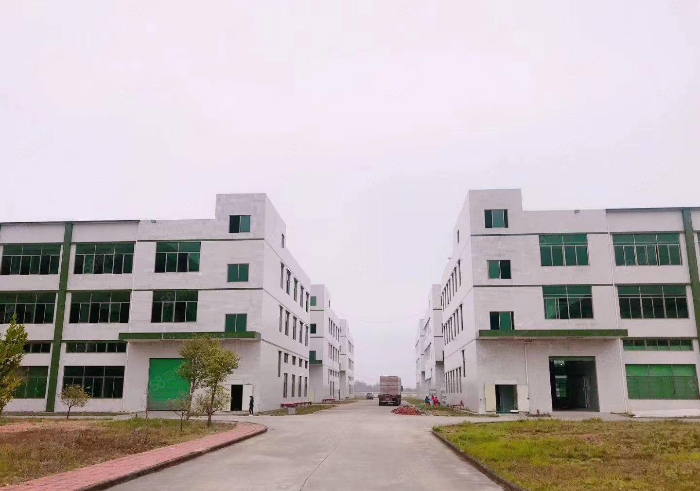 惠州市新圩镇原房东独门独院88000平方标准厂房招租