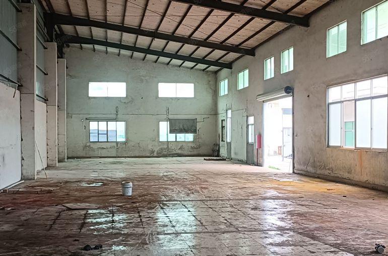 惠阳镇隆新出靠山边钢结构厂房1000平方米