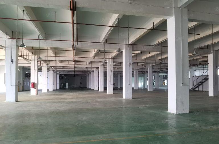 惠州忡恺旁镇隆工业区原房东红本厂房3500平出租带喷淋消防