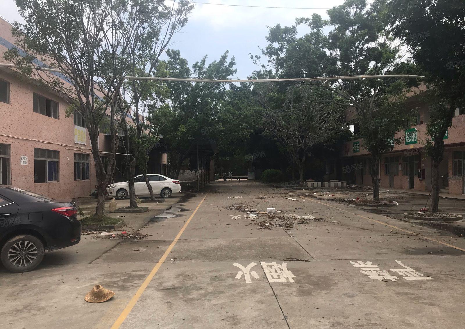 新圩东风工业区原房东钢构800平1200平出租