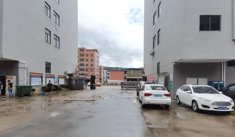 镇隆原房东2楼1380平厂房出租带办公室装修地坪漆水电现成