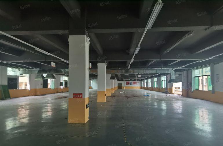 带喷淋！塘口工业区新出1500平米一层共2层3000平米厂房