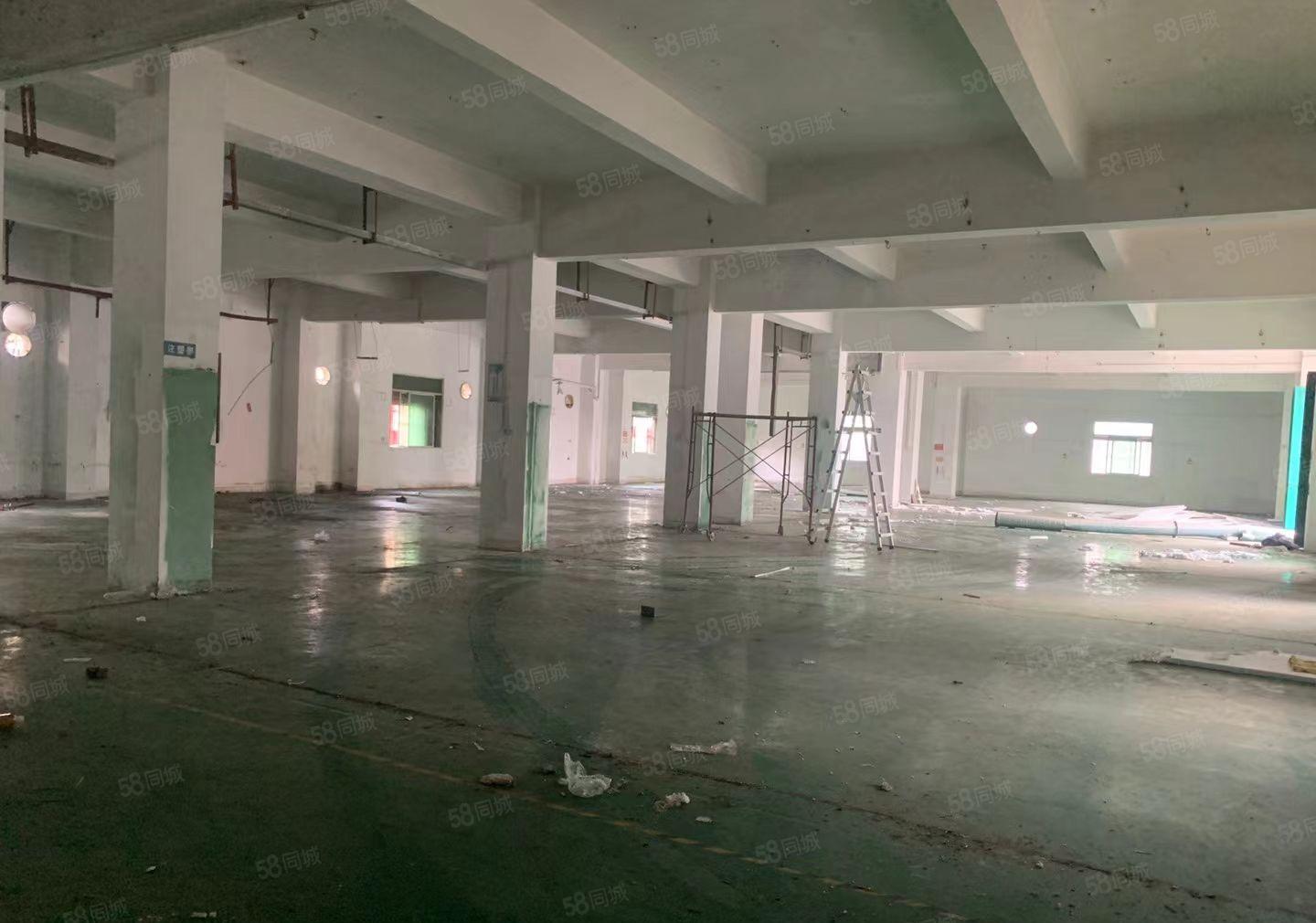现成装修地坪漆厂房出租