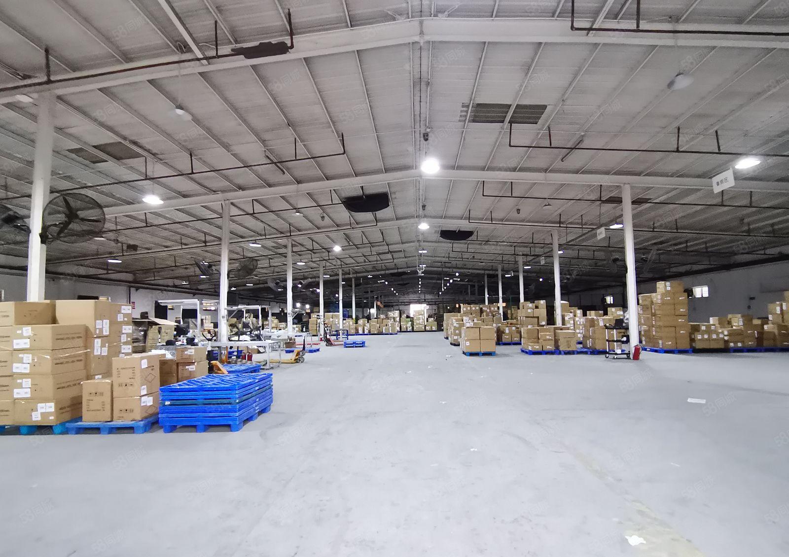 2百5百8百1千平起分租新墟塘口工业区4千平钢构仓库厂房出租