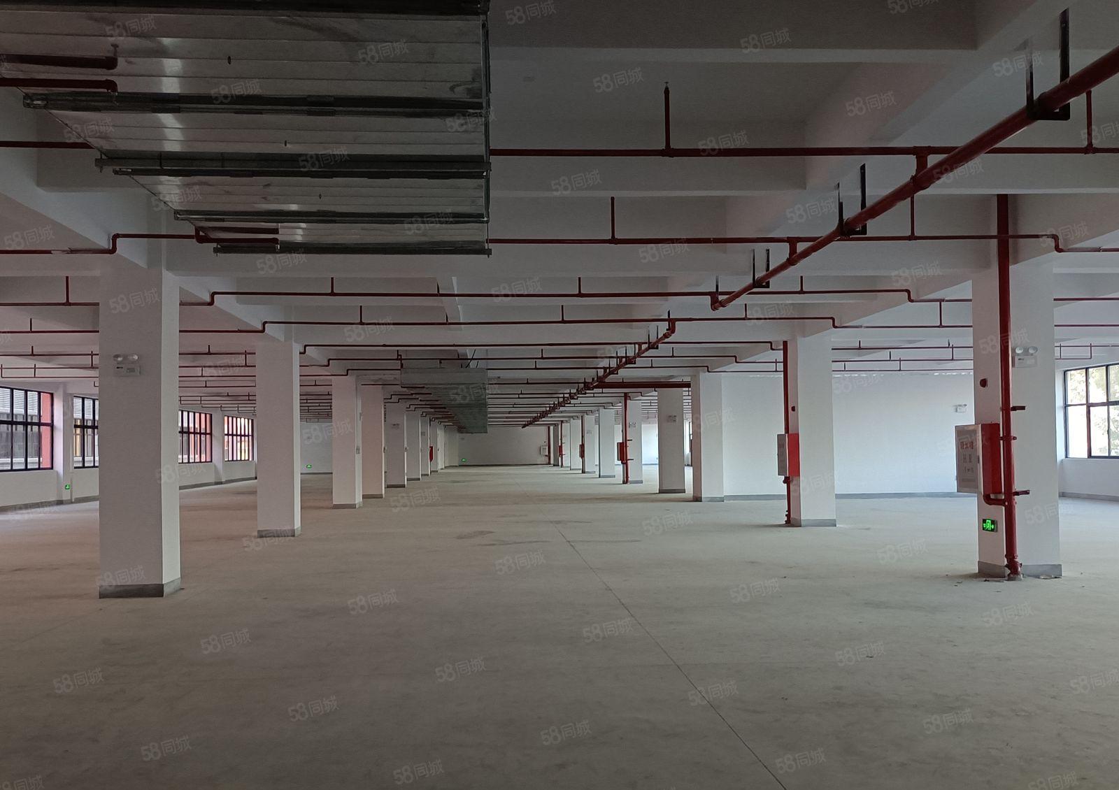 惠阳三和工业区800平物流仓库厂房出租