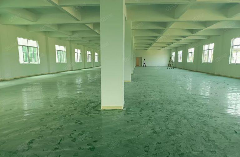 惠阳新出标准独院可做电子棉签塑料花动漫等行业的标准厂房出租