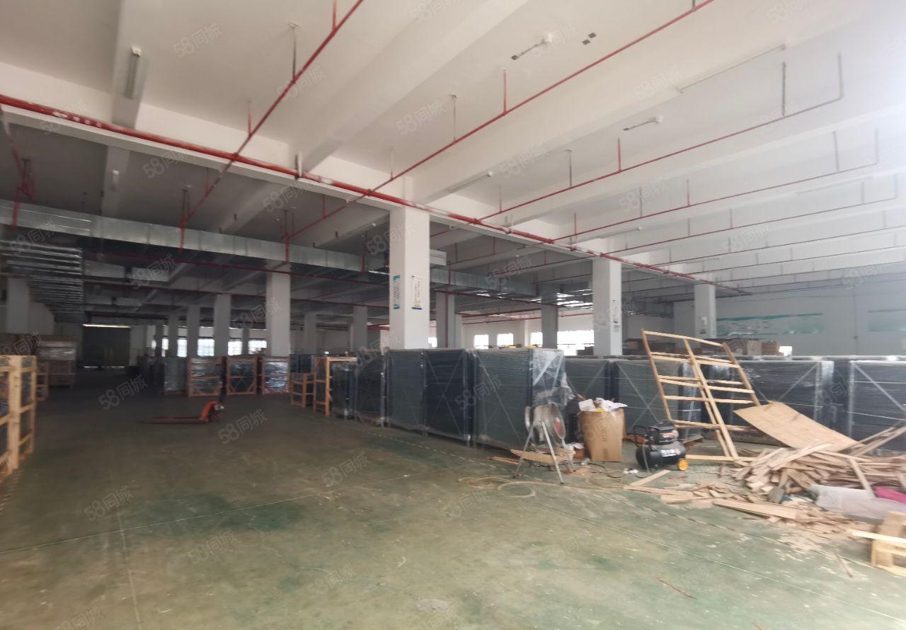 白花全新5万平重工业厂房出租仓库出租2000平分层高7.5米