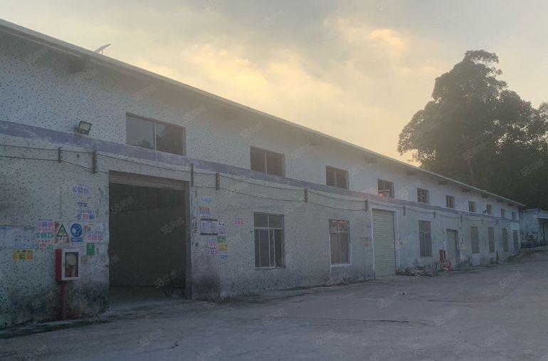 秋场500平原房东钢构12块一平红本厂房仓库出租