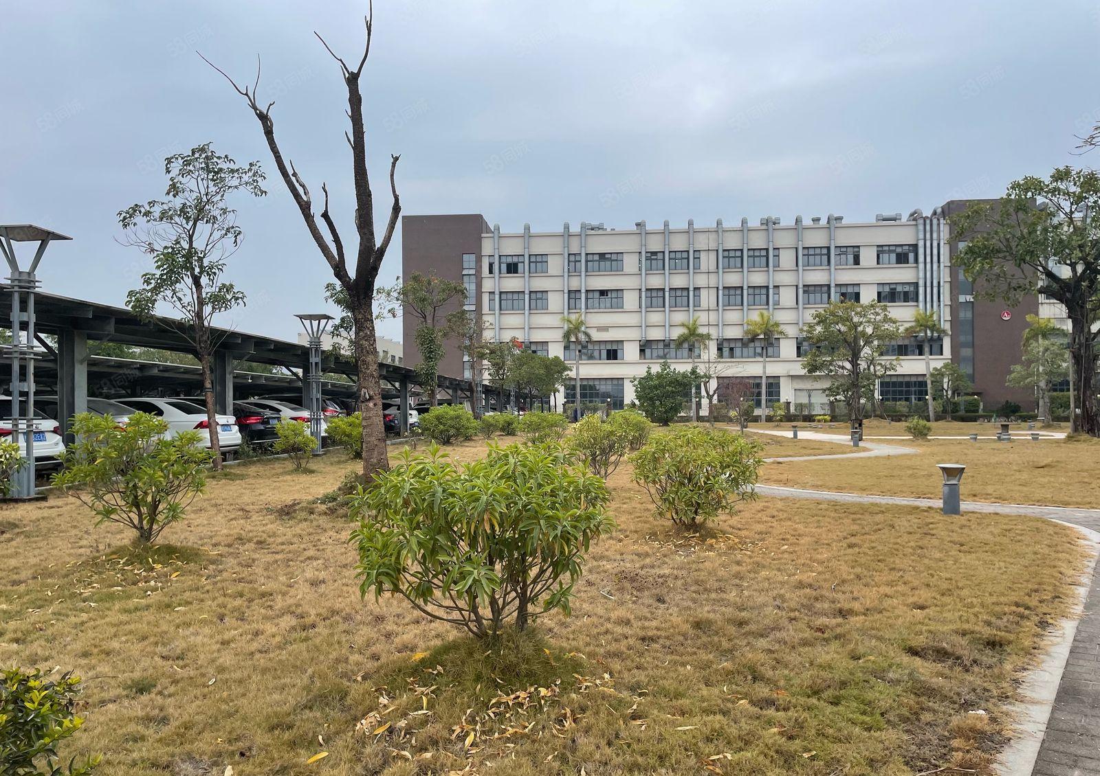 惠阳秋长6千平家私厂出租 一楼7米 零公摊 证件齐全 可分租