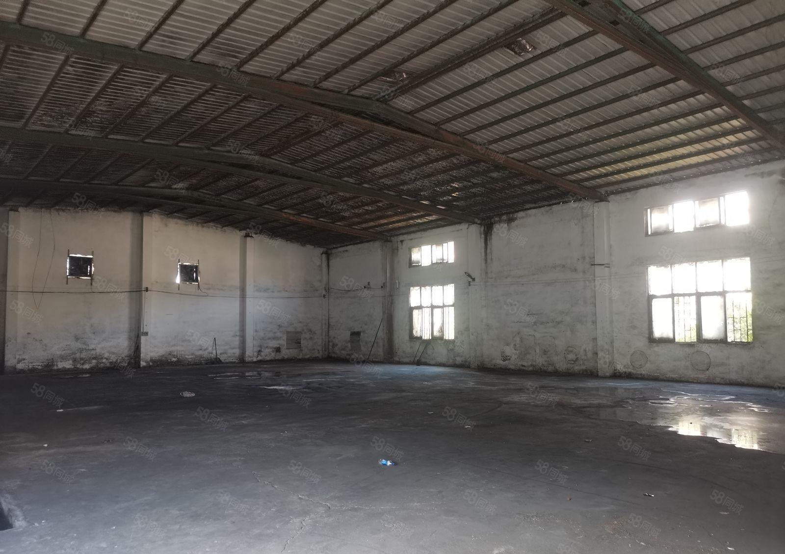 惠阳秋长白底价13块钢构1楼6000平分租！600平起分租！