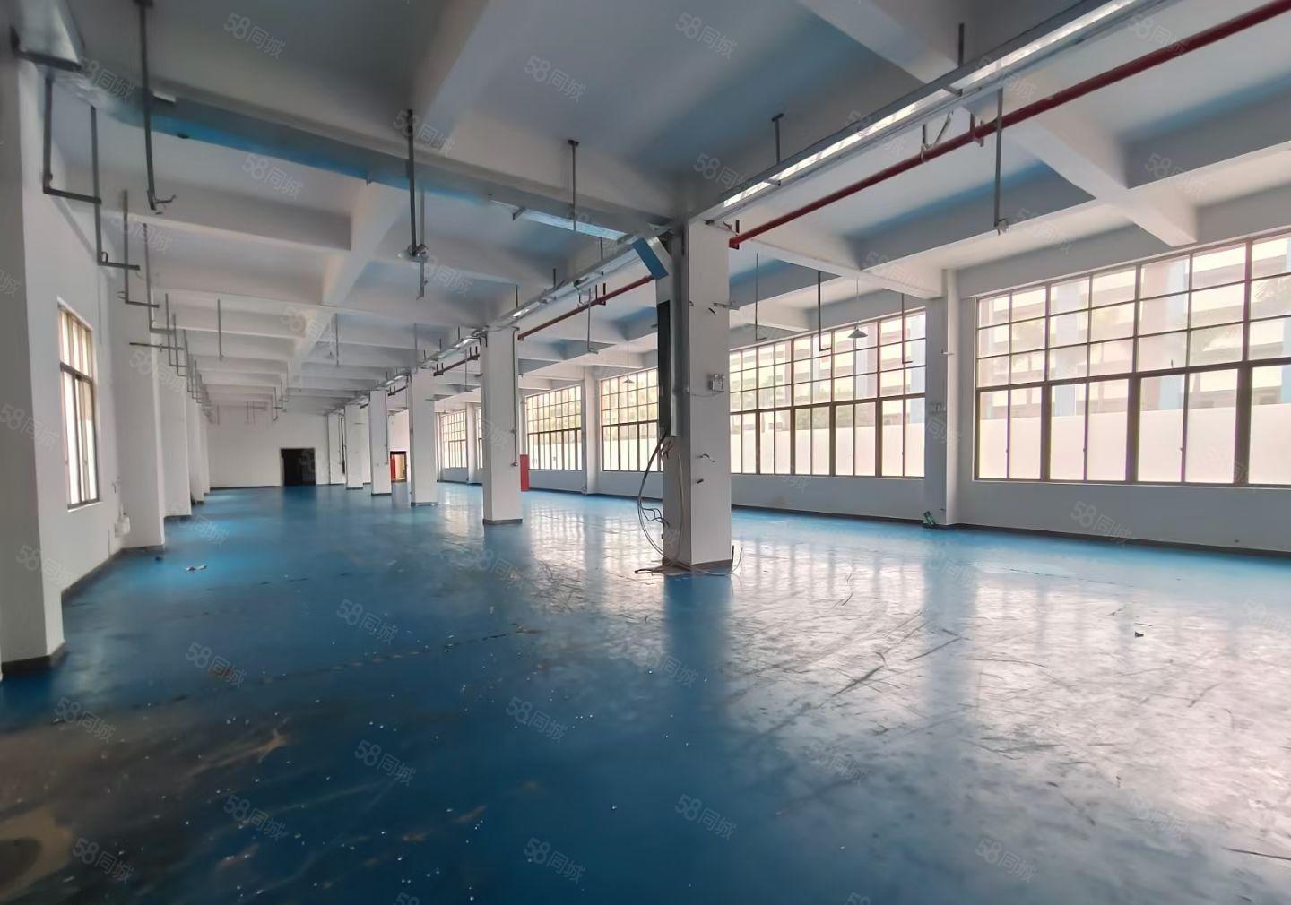 惠阳秋长将军路口新出低价村委厂房1500平可做除排水外行业