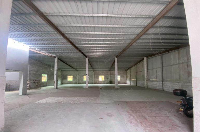 惠阳新圩650平原房东钢构厂房出租15元平月