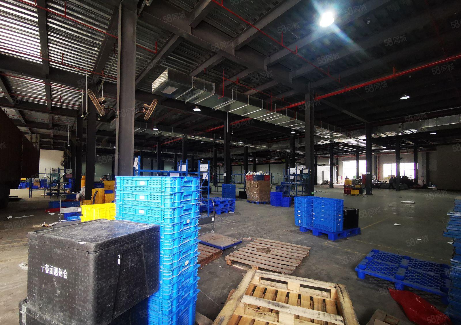 惠阳镇隆原房东冻库出租2400平方可按需分租