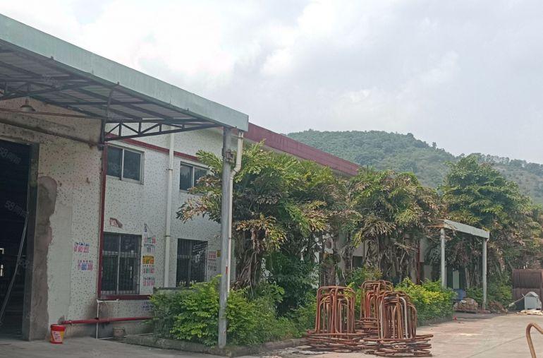 惠阳新圩东风新出原房东砖混钢结构厂房4800平方米招租