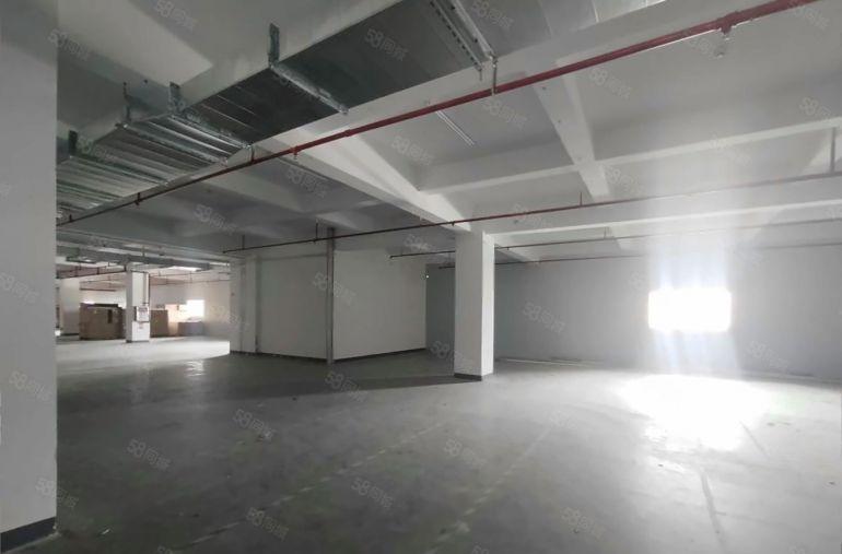 9块！新墟塘吓工业区3000平厂房仓库出租一楼带装修可分租