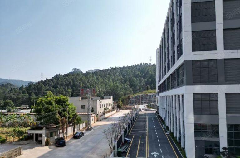 惠州市镇隆镇原房东红本工业园厂房出租