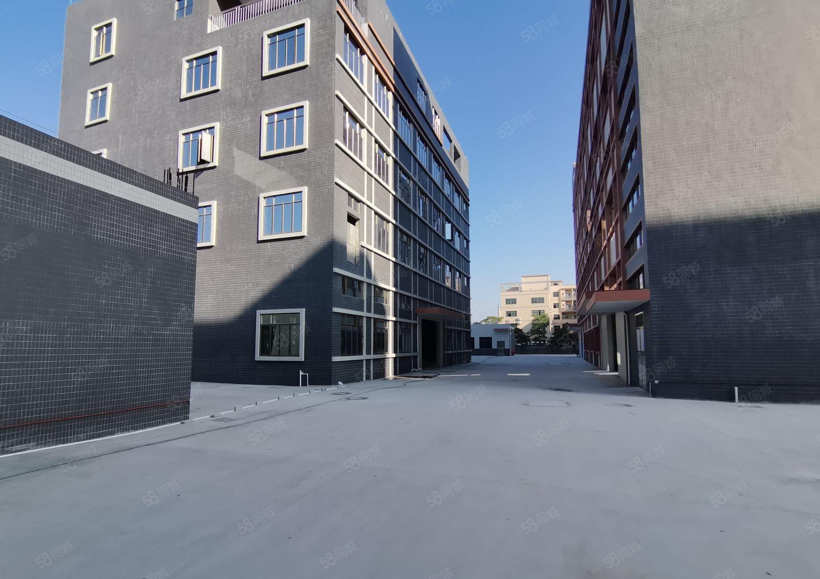 8百1千平起租新圩工业区原房东22000平独院厂房仓库出租