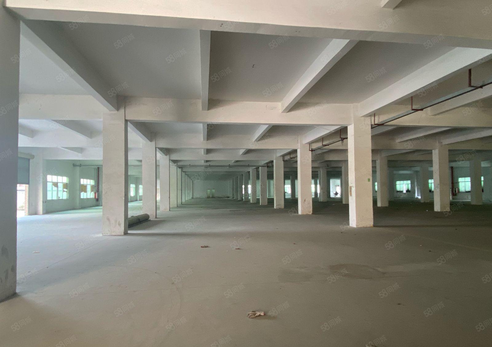 新圩国道旁独栋标准厂房出租4980平一层现成卸货平台可分租